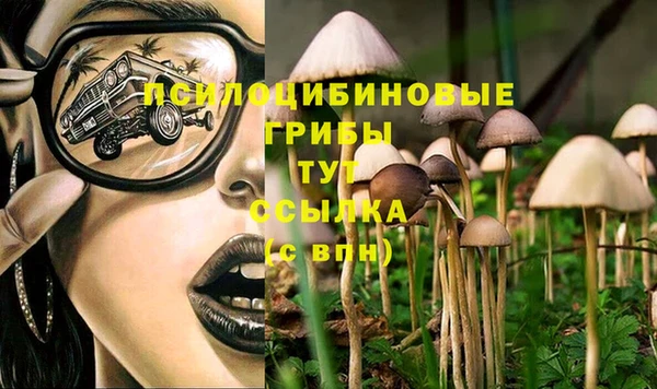 спиды Иноземцево
