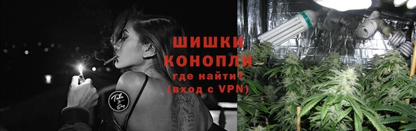 крисы Зерноград