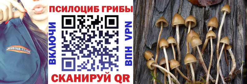 Псилоцибиновые грибы мицелий  Зарайск 